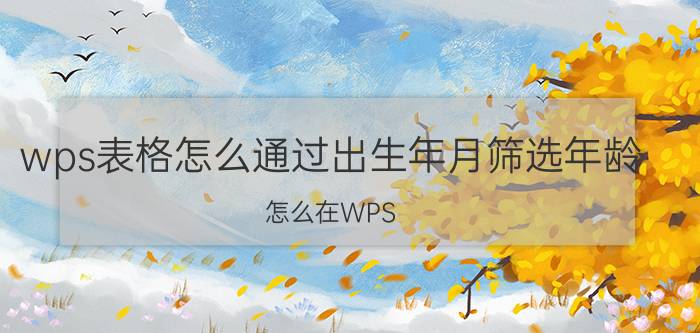 wps表格怎么通过出生年月筛选年龄 怎么在WPS EXCEL表格中通过出生日期计算年龄？